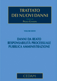 Trattato dei nuovi danni